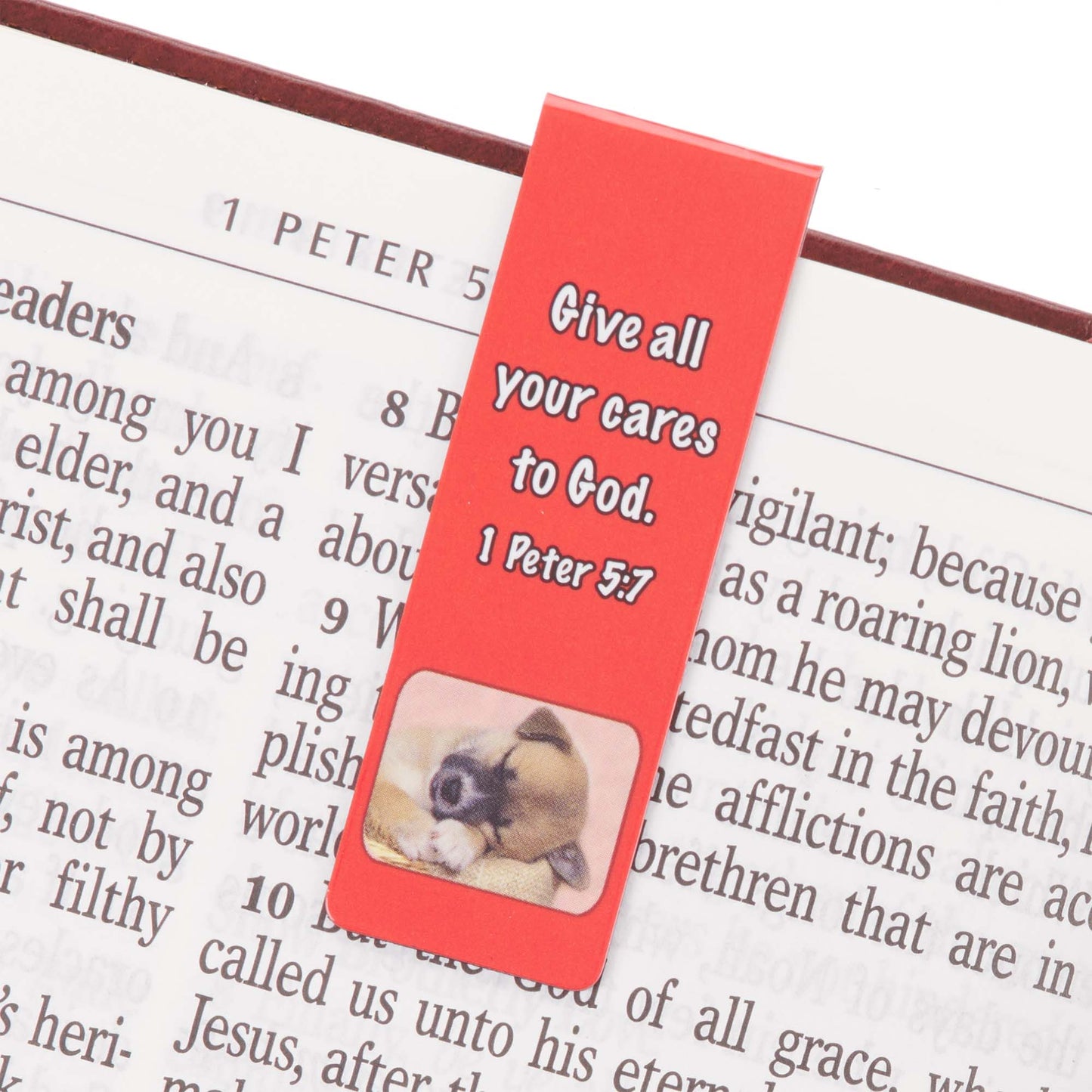 Special Treasure Magnetic Bookmark Set - Deuteronomy 14:2 - The Christian Gift Company