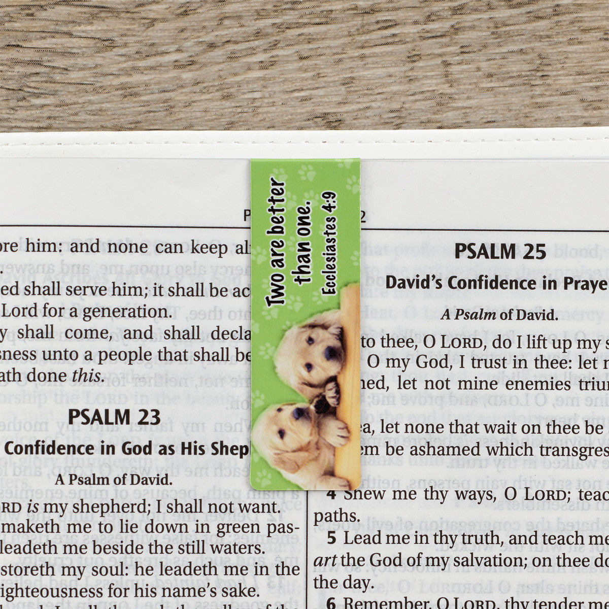 Special Treasure Magnetic Bookmark Set - Deuteronomy 14:2 - The Christian Gift Company