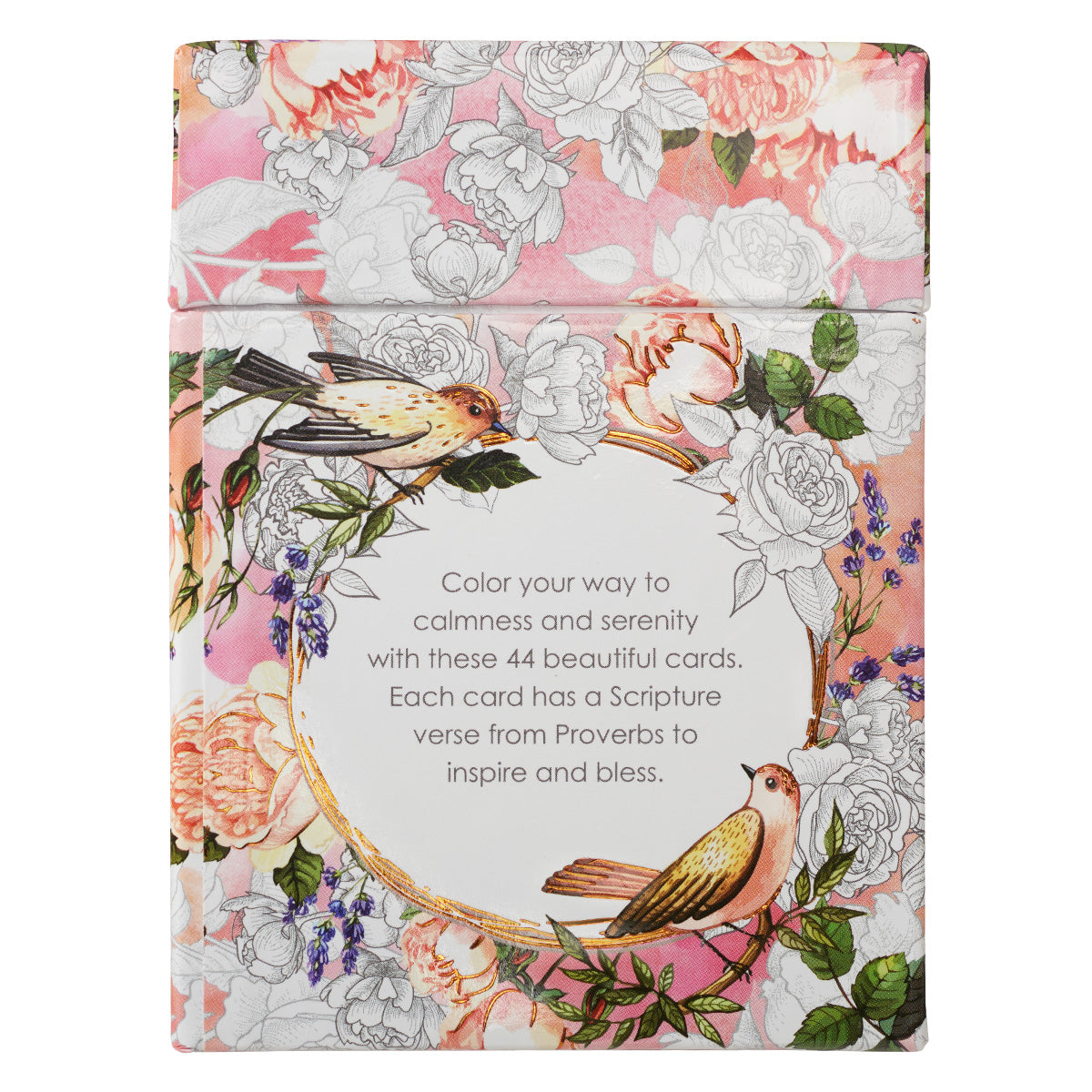 Proverbs in Color Colouring Cards - The Christian Gift Company