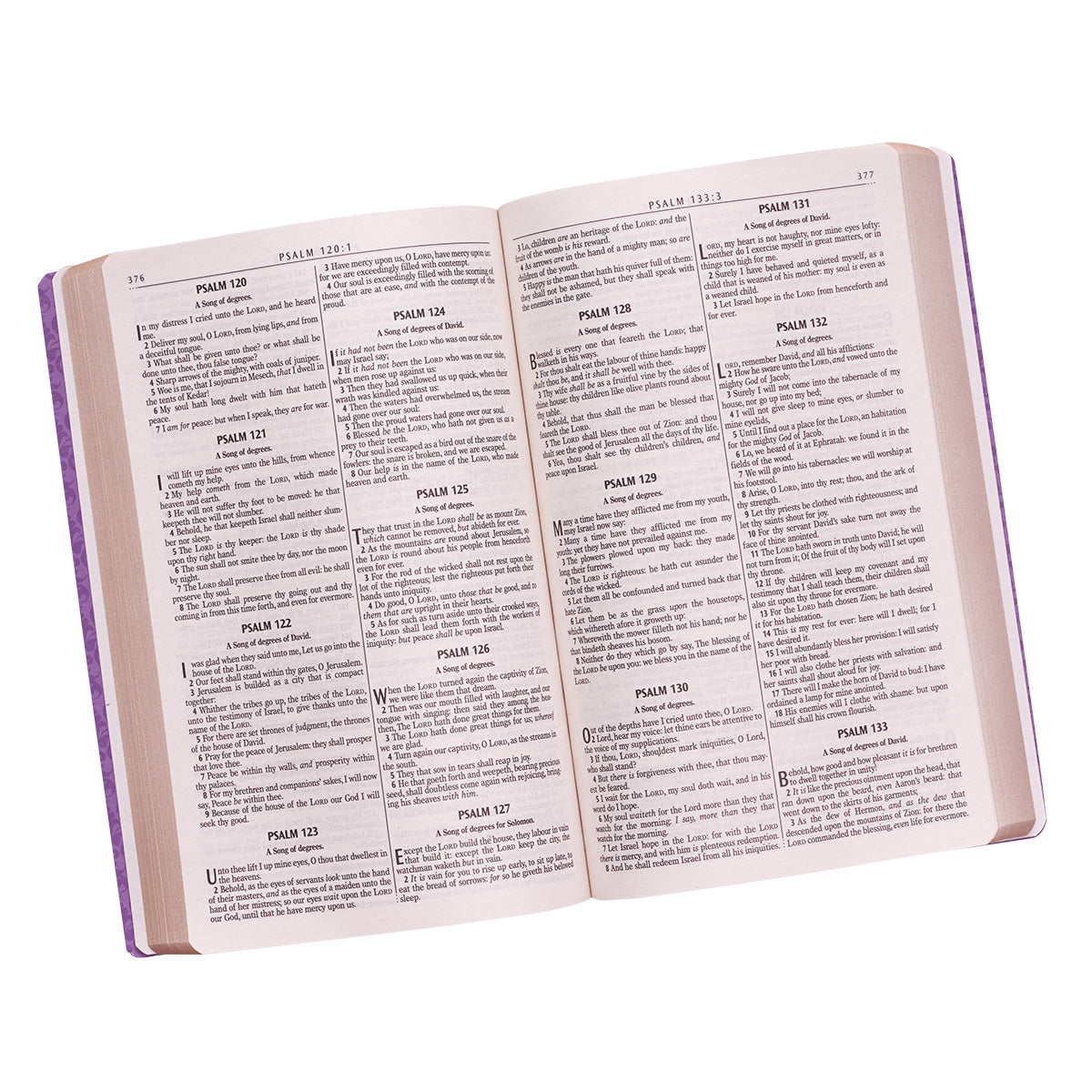 Purple Faux Leather King James Version Gift and Award Bible - The Christian Gift Company
