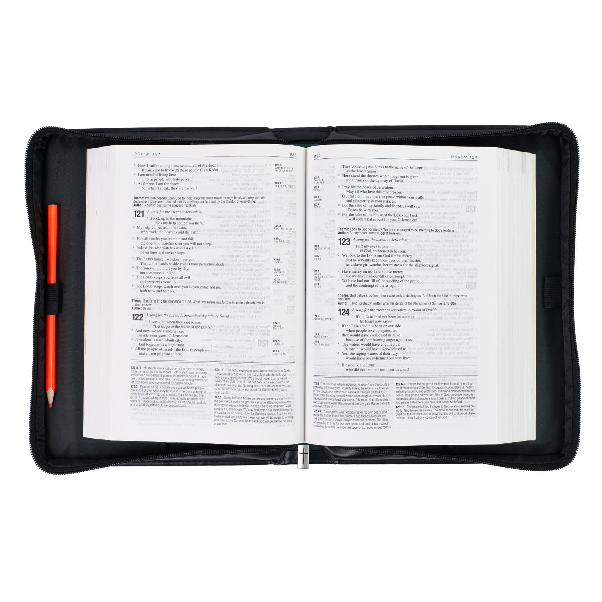 Be Strong Lion Two-Tone Classic Bible Cover - Joshua 1:9 - The Christian Gift Company