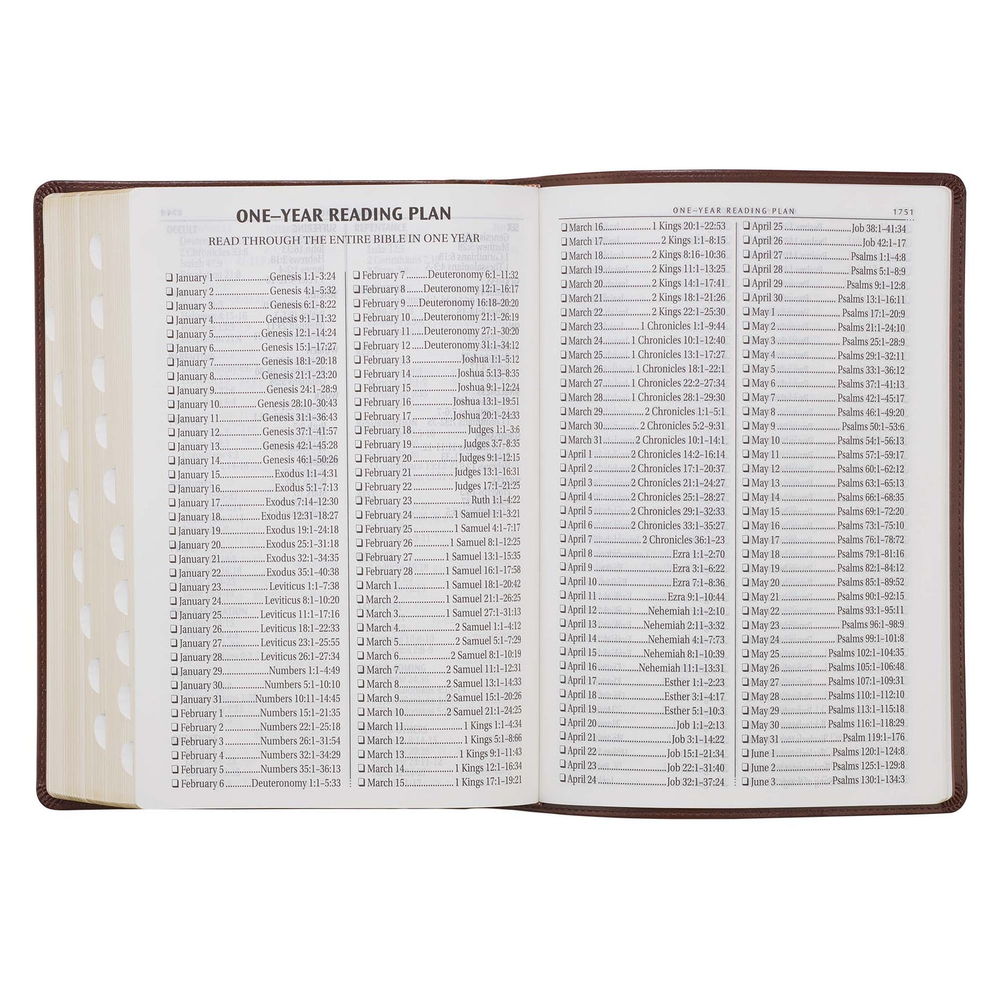 Chestnut Brown Faux Leather Super Giant Print King James Version Bible with Thumb Index - The Christian Gift Company