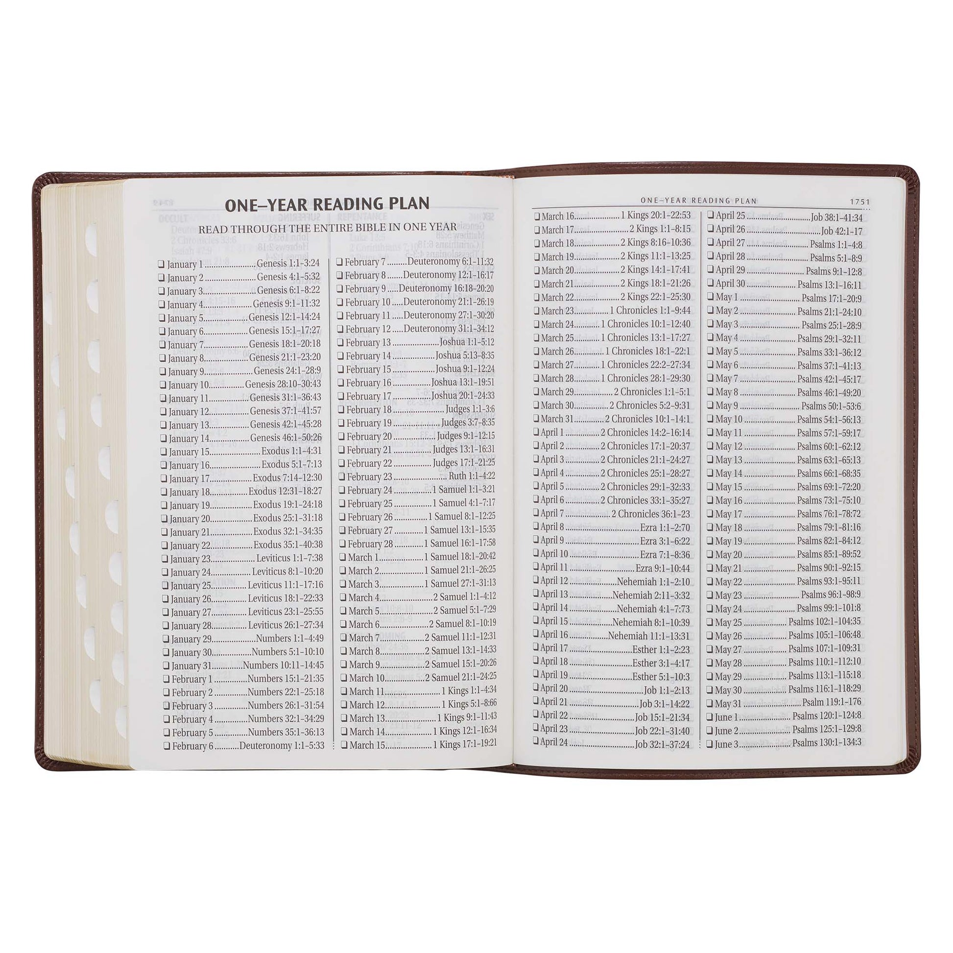 Chestnut Brown Faux Leather Super Giant Print King James Version Bible with Thumb Index - The Christian Gift Company