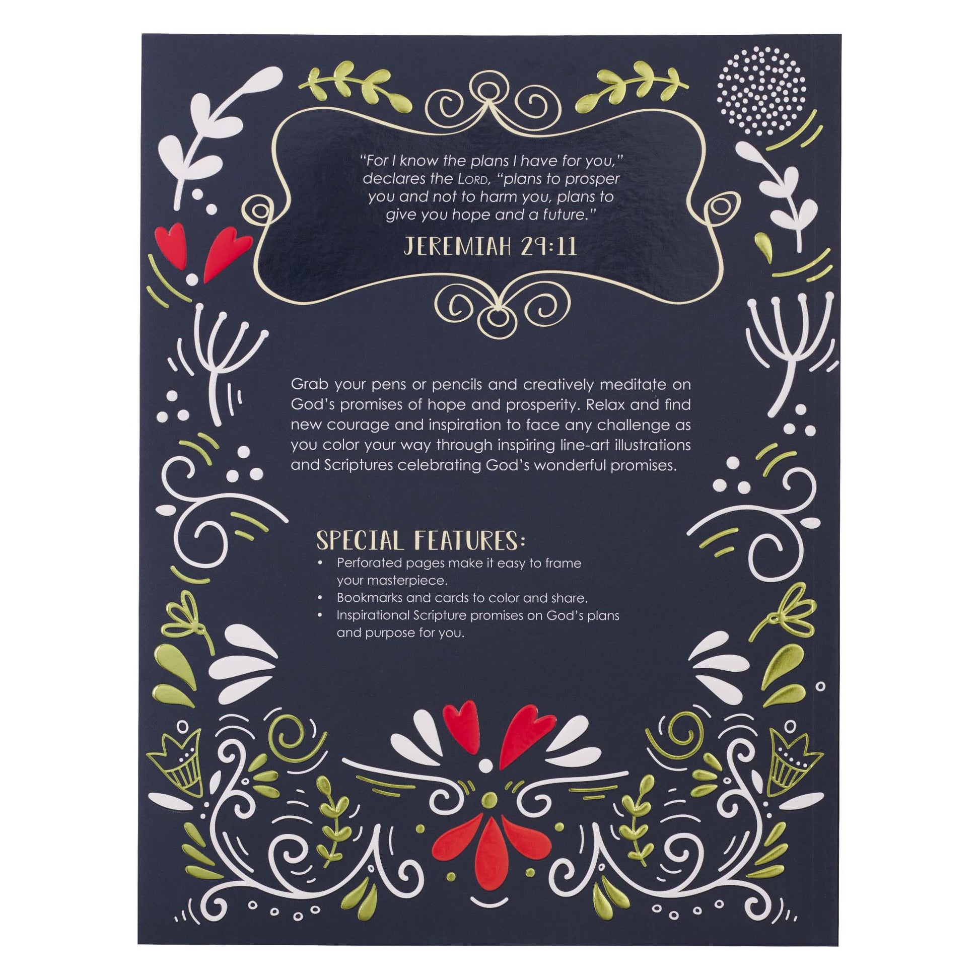 I Know the Plans I Have for You Colouring Book for Adults - Jeremiah 29:11 - The Christian Gift Company