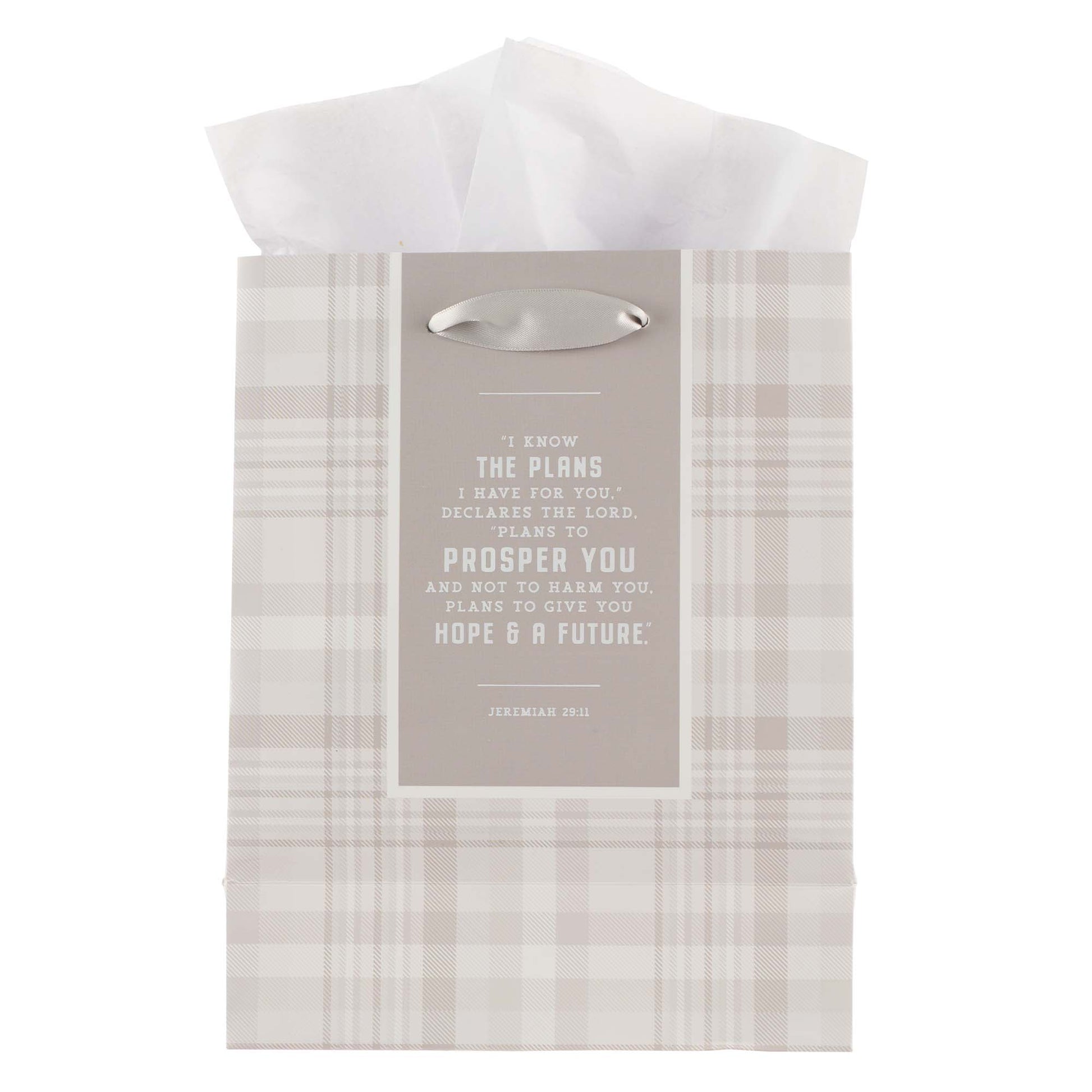 I Know the Plans Grey Plaid Medium Gift Bag - Jeremiah 29:11 - The Christian Gift Company
