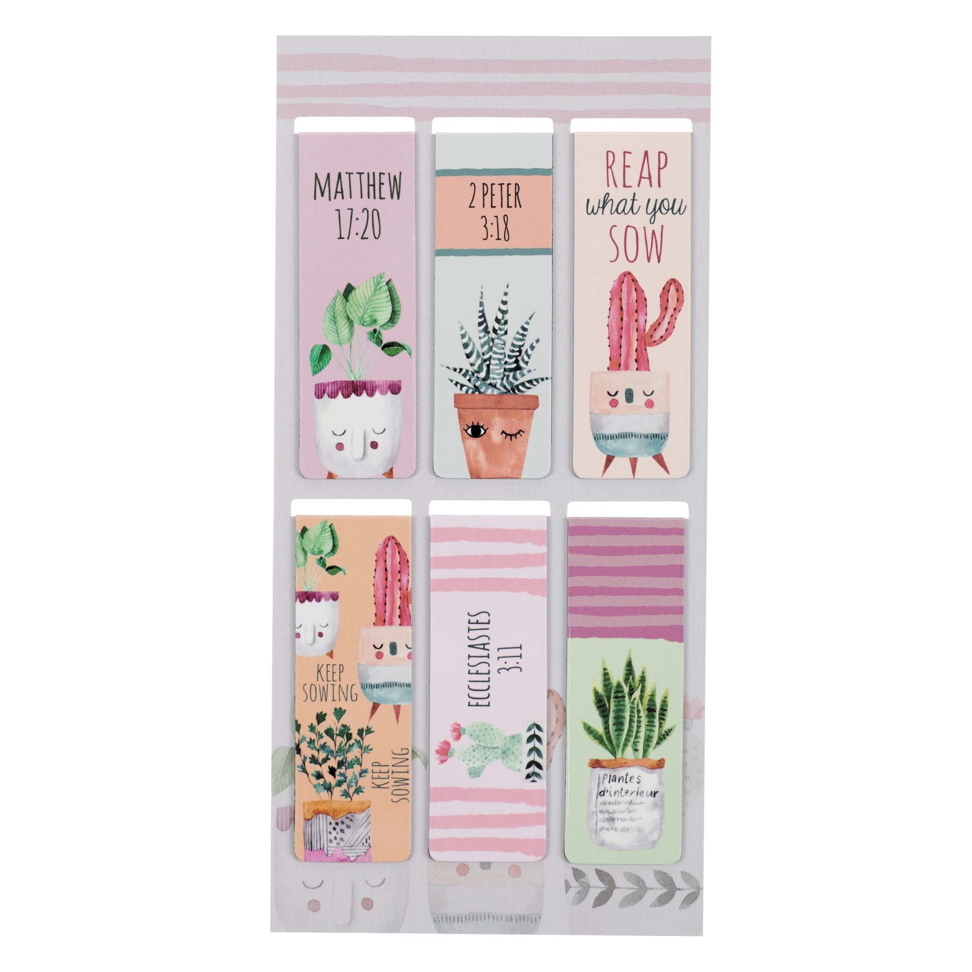 Succulent Garden Magnetic Bookmark Set - The Christian Gift Company