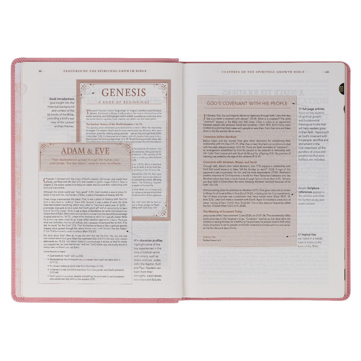Pink Faux Leather Spiritual Growth Bible - The Christian Gift Company