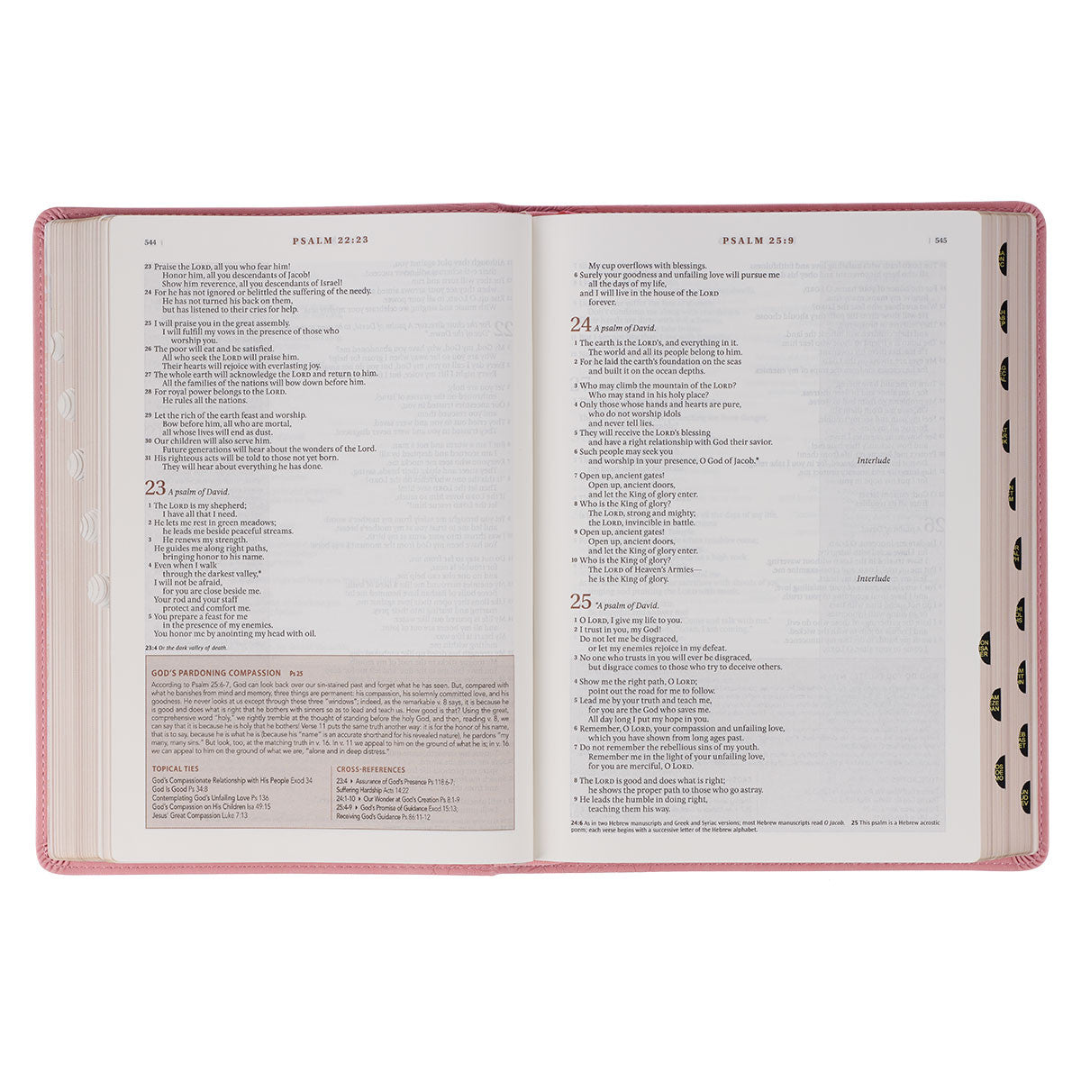 Pink Faux Leather Spiritual Growth Bible - The Christian Gift Company
