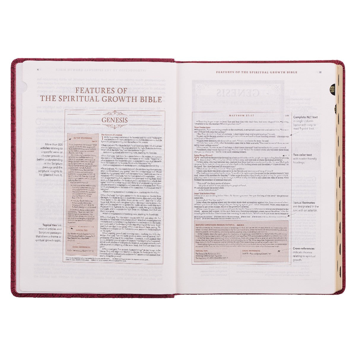 Berry Faux Leather Spiritual Growth Bible - The Christian Gift Company