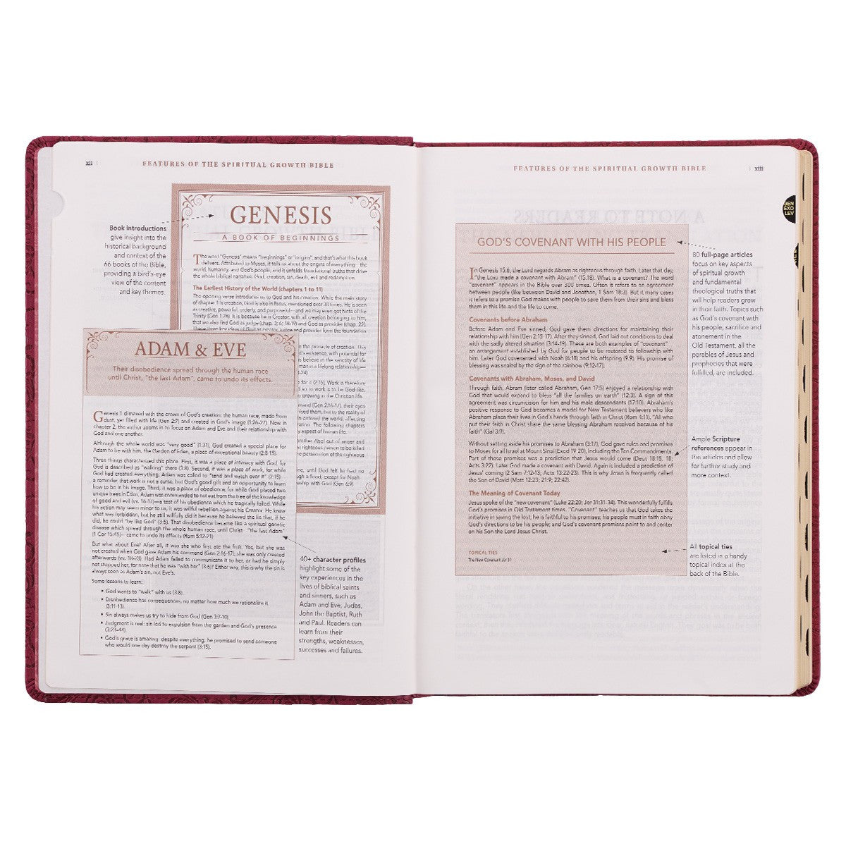 Berry Faux Leather Spiritual Growth Bible - The Christian Gift Company