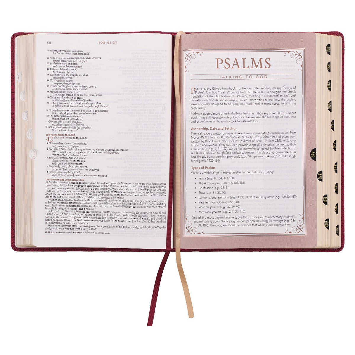 Berry Faux Leather Spiritual Growth Bible - The Christian Gift Company