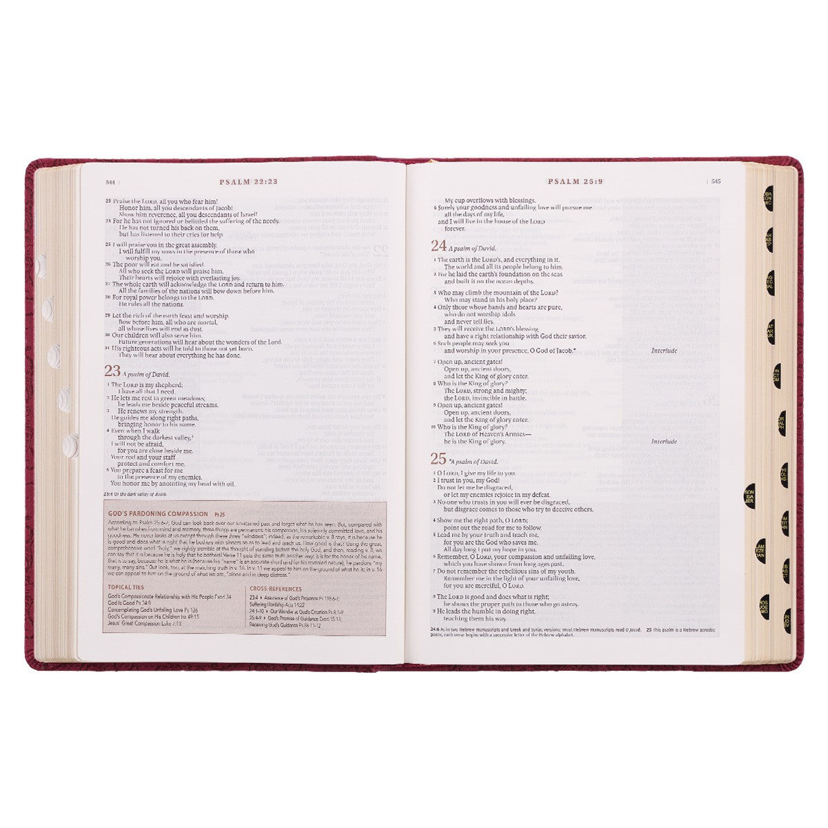 Berry Faux Leather Spiritual Growth Bible - The Christian Gift Company