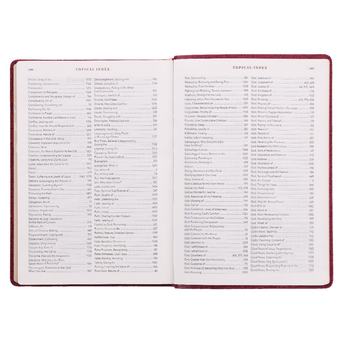 Berry Faux Leather Spiritual Growth Bible - The Christian Gift Company