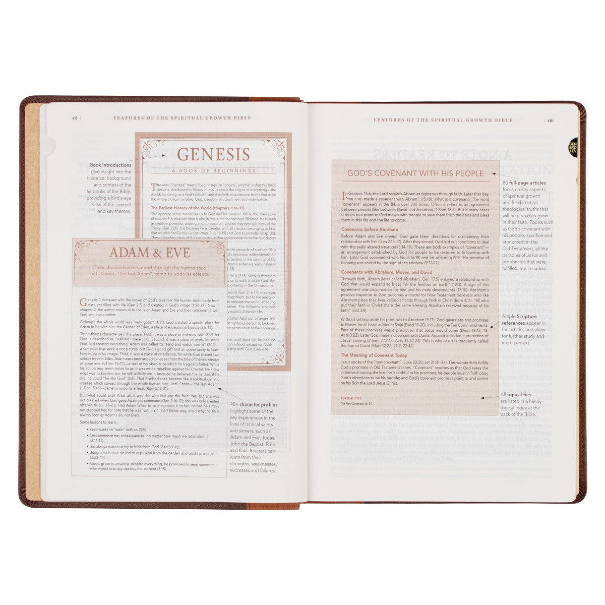 Two-tone Espresso and Toffee Brown Faux Leather Spiritual Growth Bible - The Christian Gift Company
