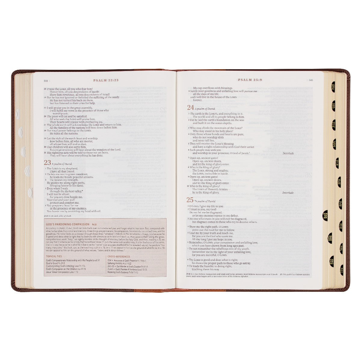 Two-tone Espresso and Toffee Brown Faux Leather Spiritual Growth Bible - The Christian Gift Company