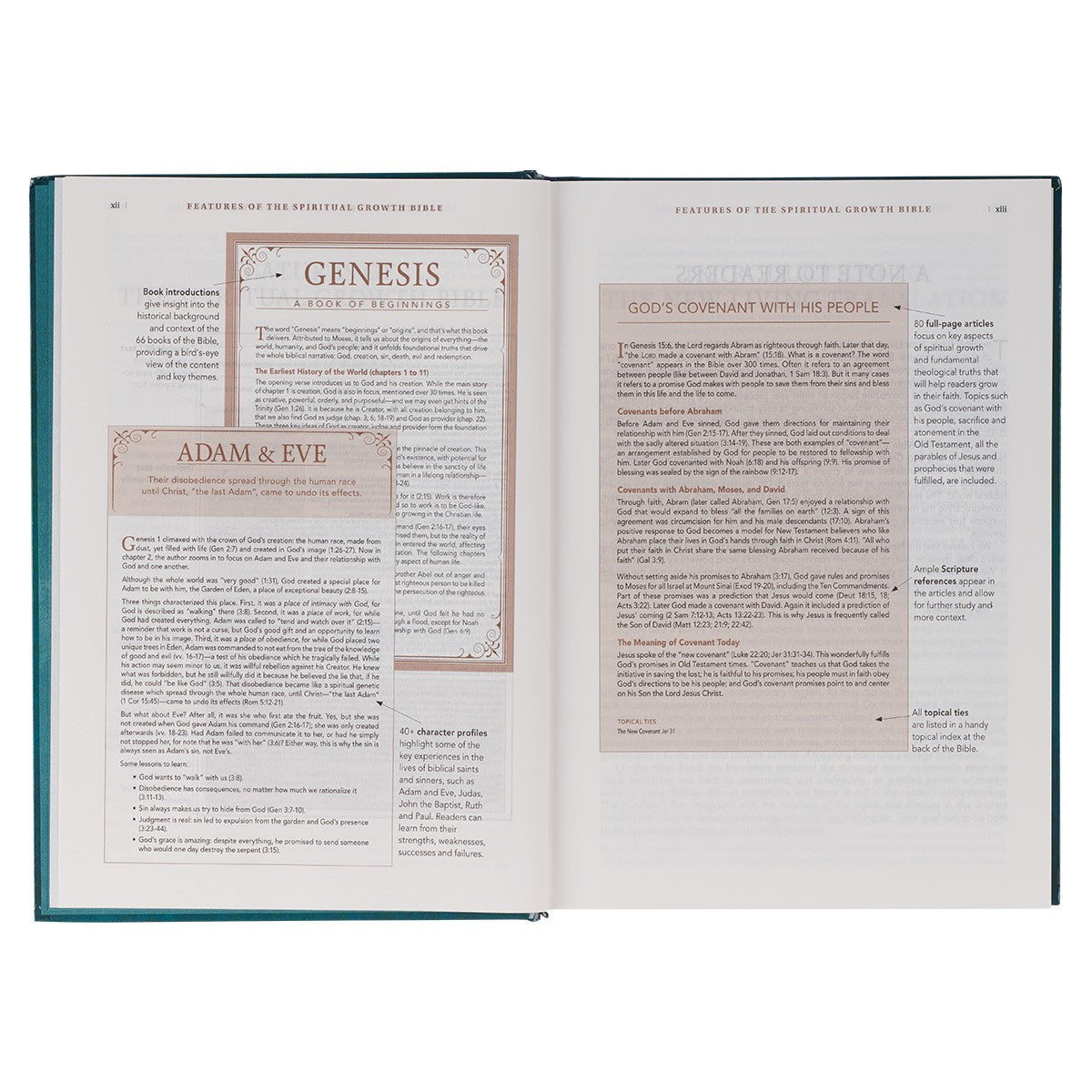 Teal Hardcover Spiritual Growth Bible - The Christian Gift Company
