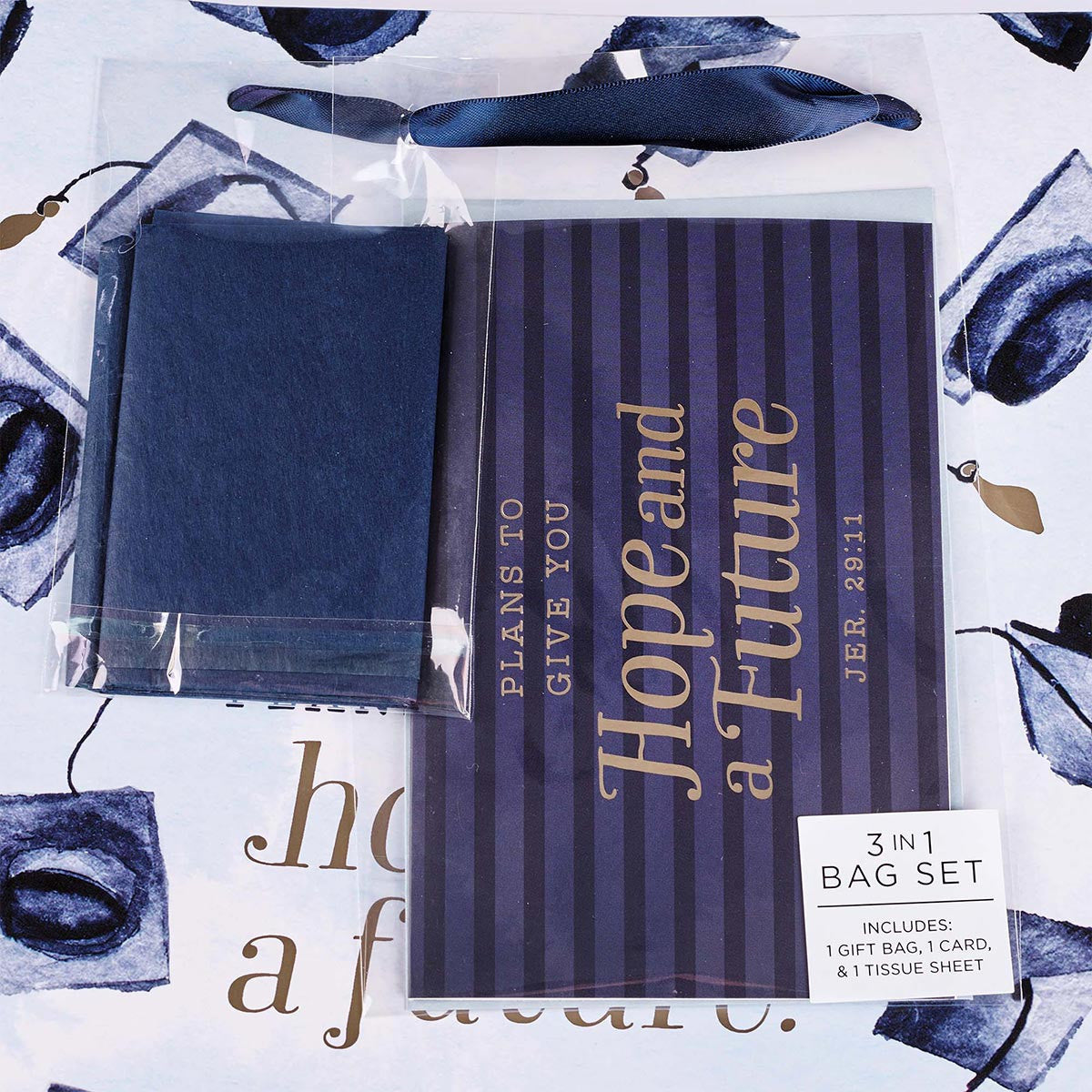 Hope & a Future Large Blue Gift Bag Set for Graduates with Card and Envelope - Jeremiah 29:11 - The Christian Gift Company