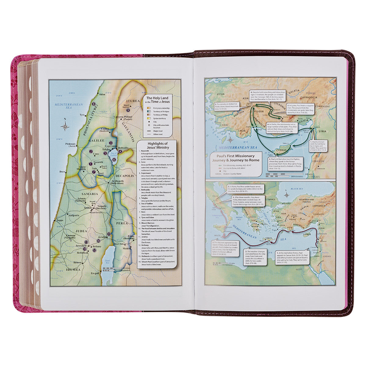 Brown and Berry Pink Faux Leather Giant Print Standard-size King James Version Bible with Thumb Index - The Christian Gift Company