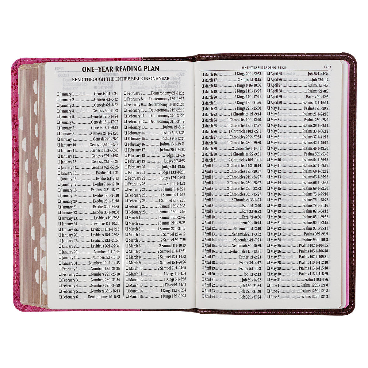 Brown and Berry Pink Faux Leather Giant Print Standard-size King James Version Bible with Thumb Index - The Christian Gift Company