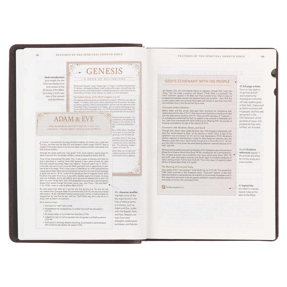 Brown Genuine Leather Spiritual Growth Bible - The Christian Gift Company