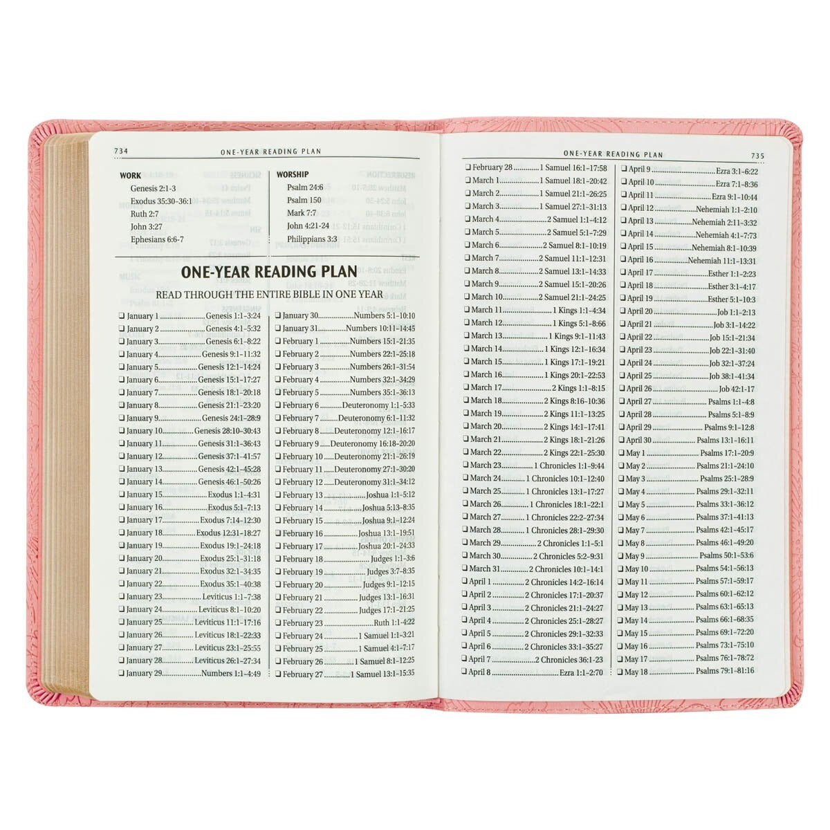Blossom Pink Faux Leather Gift Edition King James Version Bible