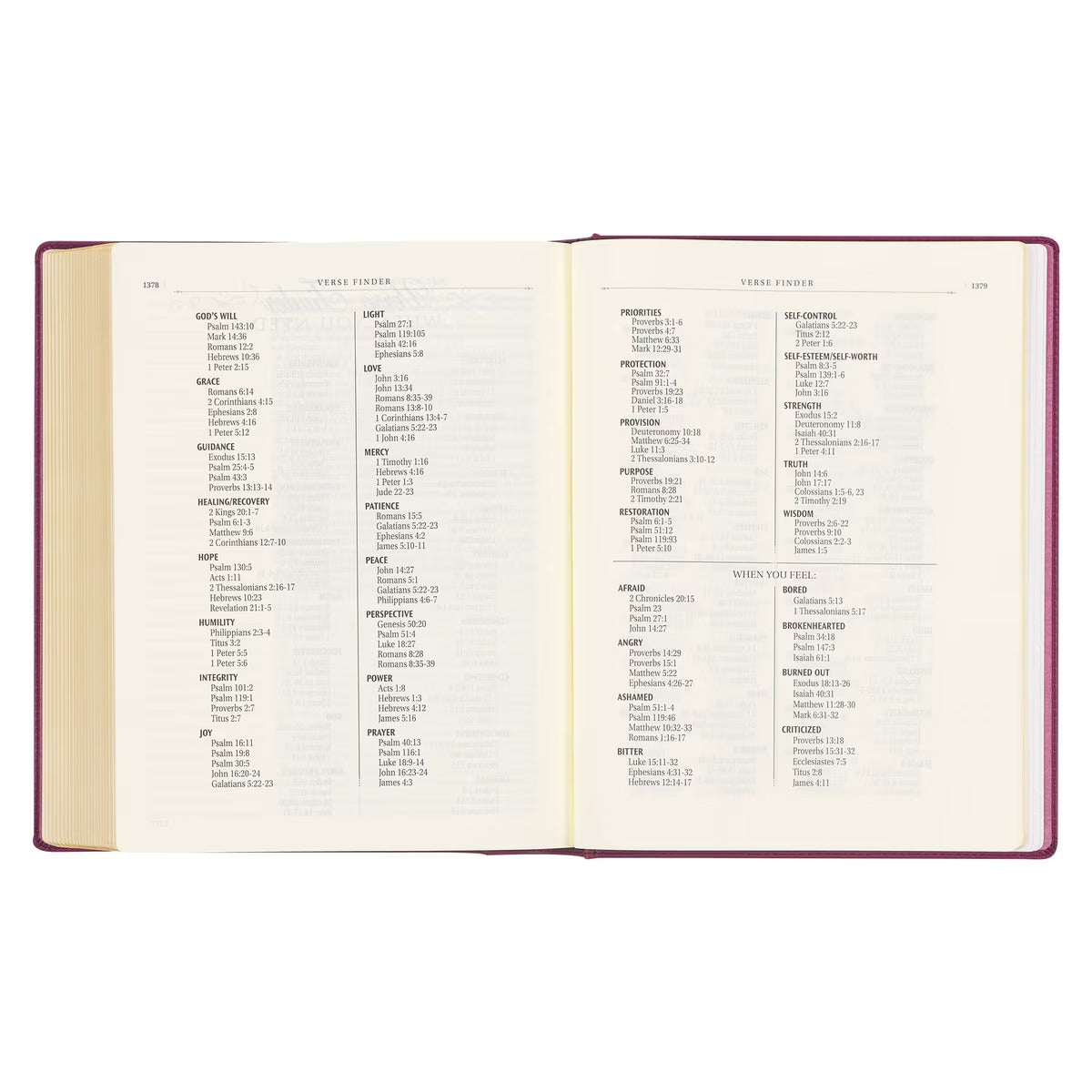 Red Plum Faux Leather Hardcover Large Print King James Version Note-taking Bible - The Christian Gift Company