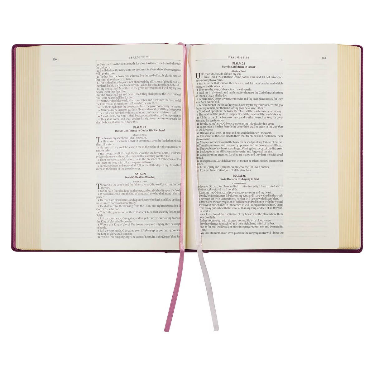 Red Plum Faux Leather Hardcover Large Print King James Version Note-taking Bible