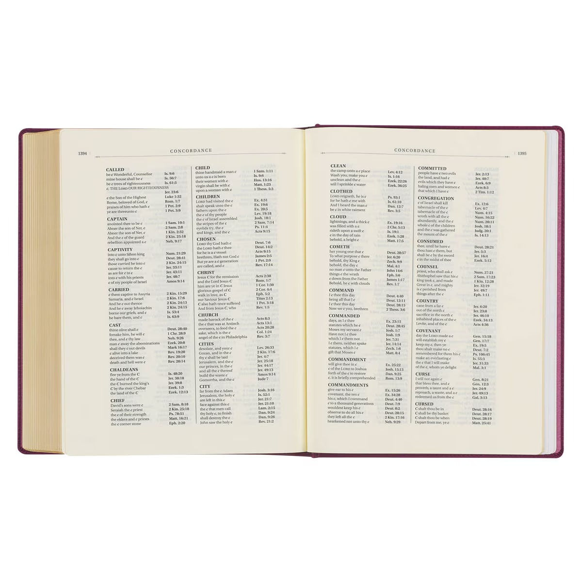 Red Plum Faux Leather Hardcover Large Print King James Version Note-taking Bible - The Christian Gift Company