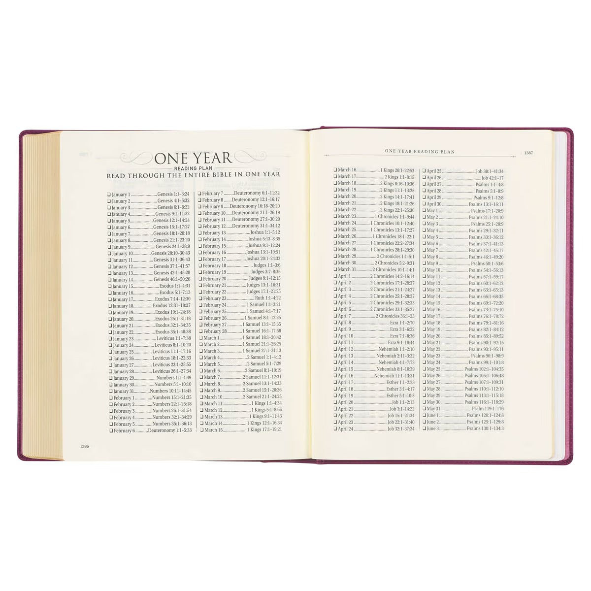 Red Plum Faux Leather Hardcover Large Print King James Version Note-taking Bible