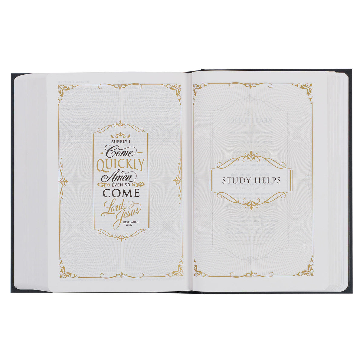 KJV Study Bible Hardcover, Black - The Christian Gift Company