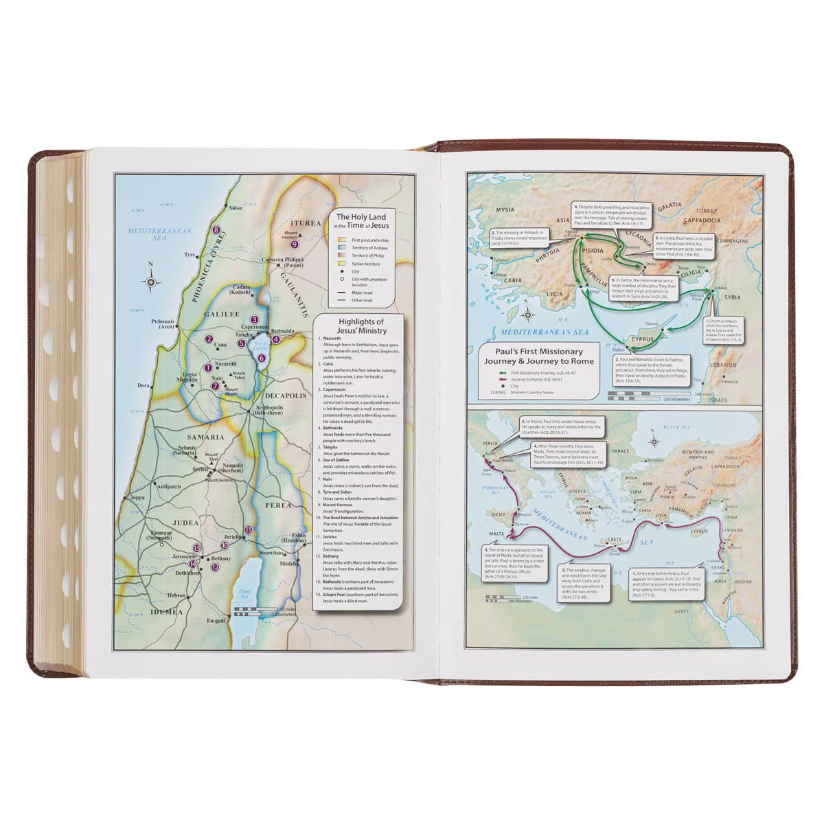 KJV Study Bible LP Faux Leather, Saddle Tan/Art Nouveau