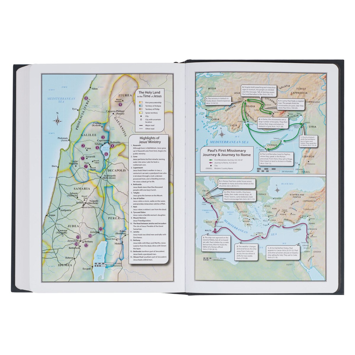 Black Hardcover Large Print King James Version Study Bible - The Christian Gift Company