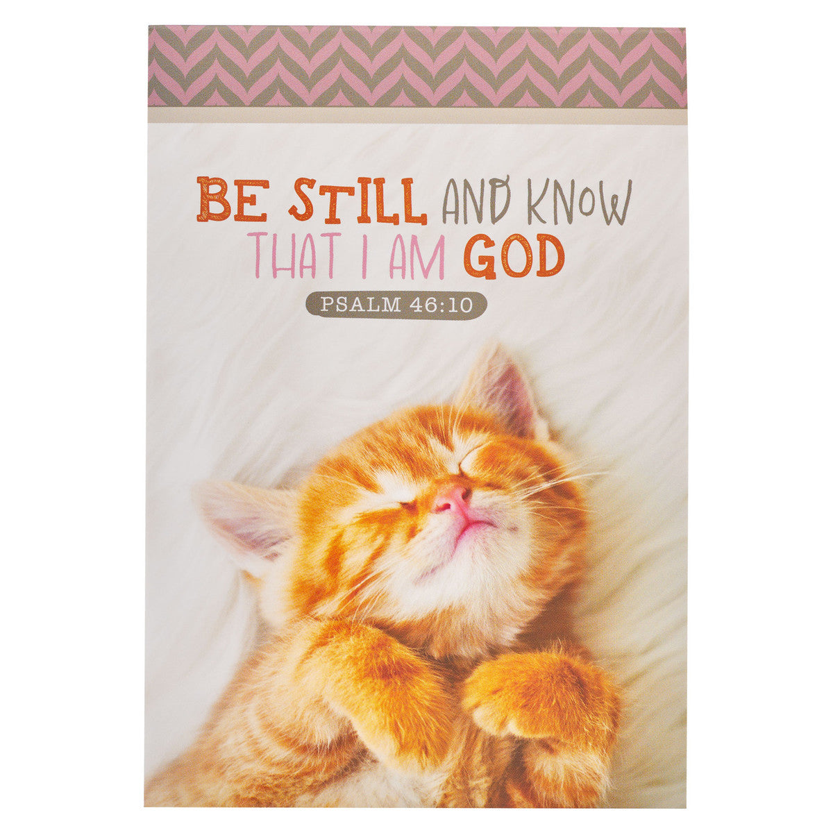 Puppy/Kitten Mini Notepad Bundle - 12 notepads - The Christian Gift Company