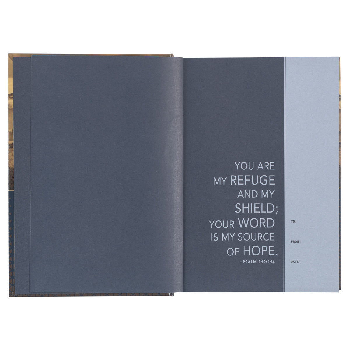 Gold and Navy Mountain View Hardcover NLT Everyday Devotional Bible for Men - The Christian Gift Company