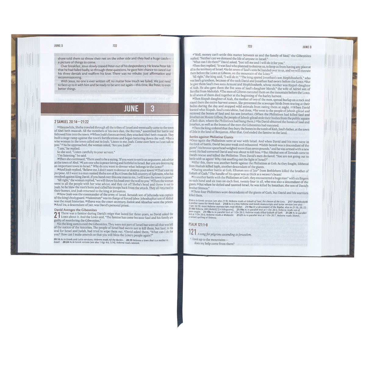 Gold and Navy Mountain View Hardcover NLT Everyday Devotional Bible for Men - The Christian Gift Company