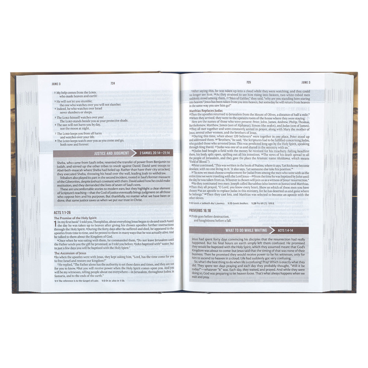 Gold and Navy Mountain View Hardcover NLT Everyday Devotional Bible for Men - The Christian Gift Company