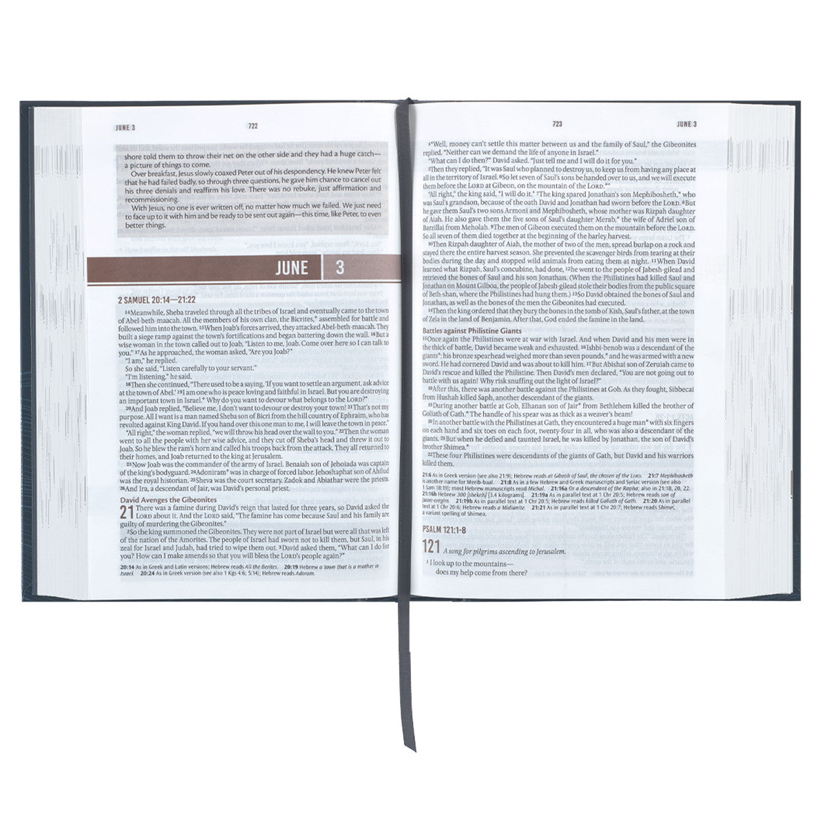 Navy Wave Hardcover NLT Everyday Devotional Bible for Men - The Christian Gift Company