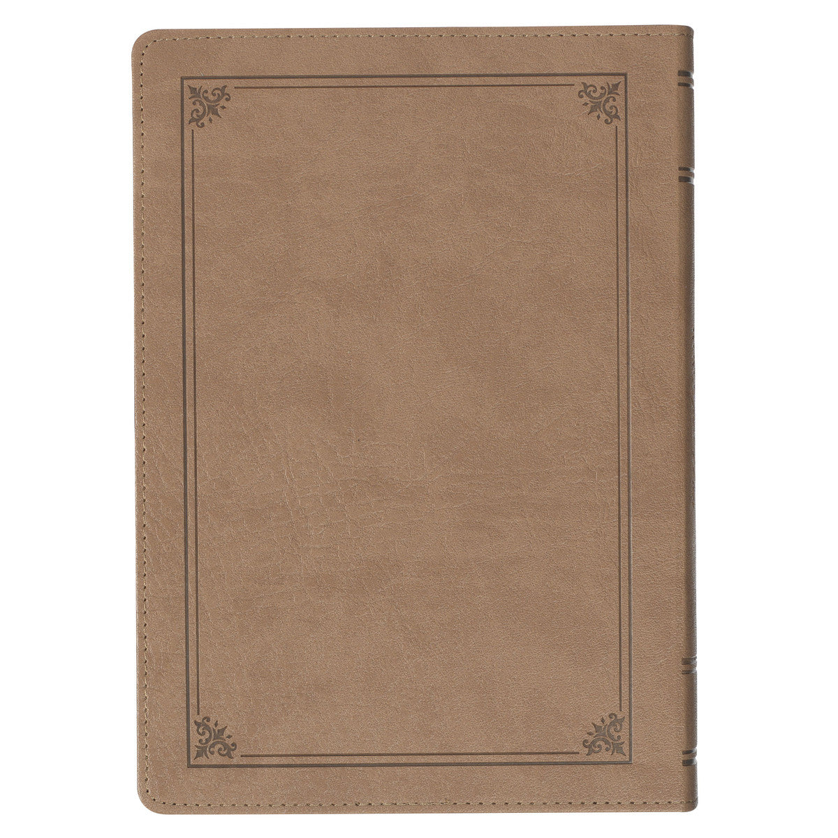 Tan Faux Leather NLT Everyday Devotional Bible for Men - The Christian Gift Company
