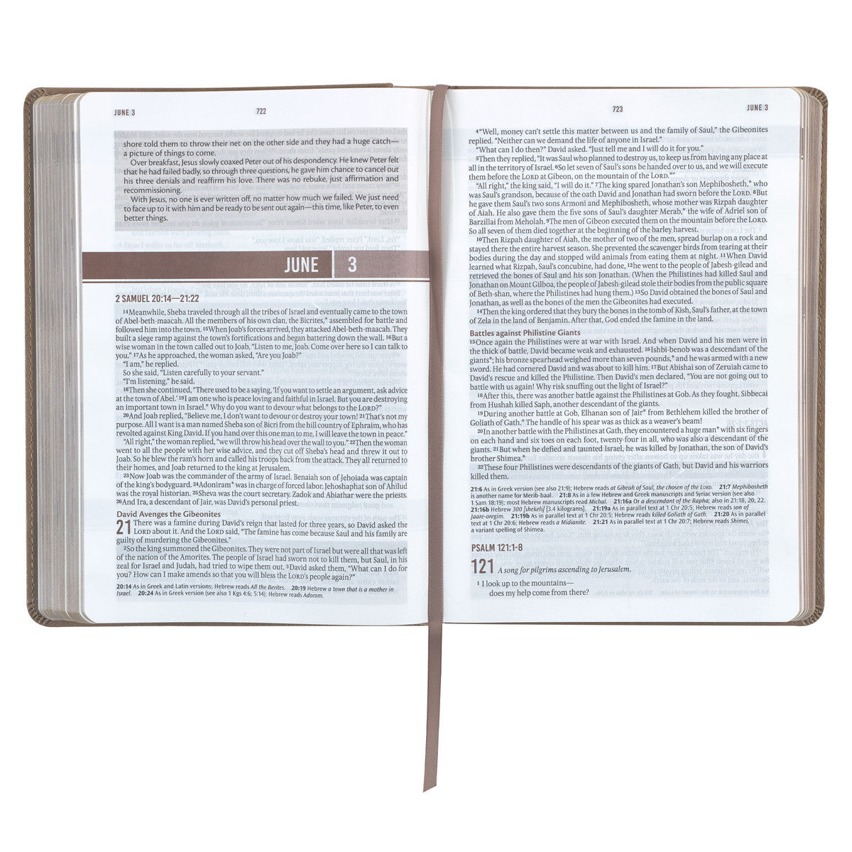 Tan Faux Leather NLT Everyday Devotional Bible for Men - The Christian Gift Company