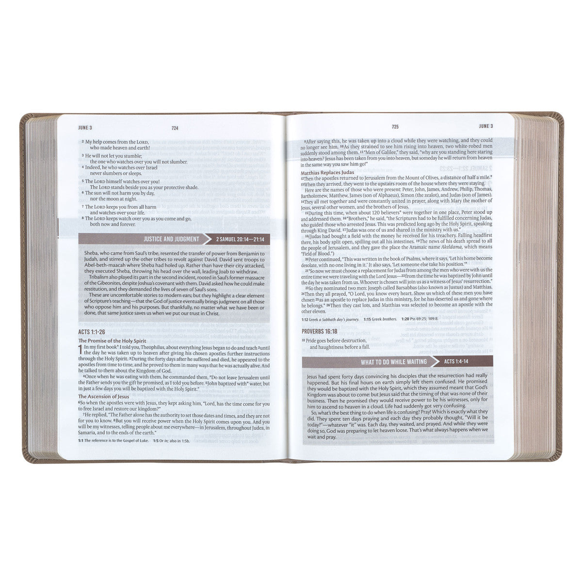 Tan Faux Leather NLT Everyday Devotional Bible for Men - The Christian Gift Company