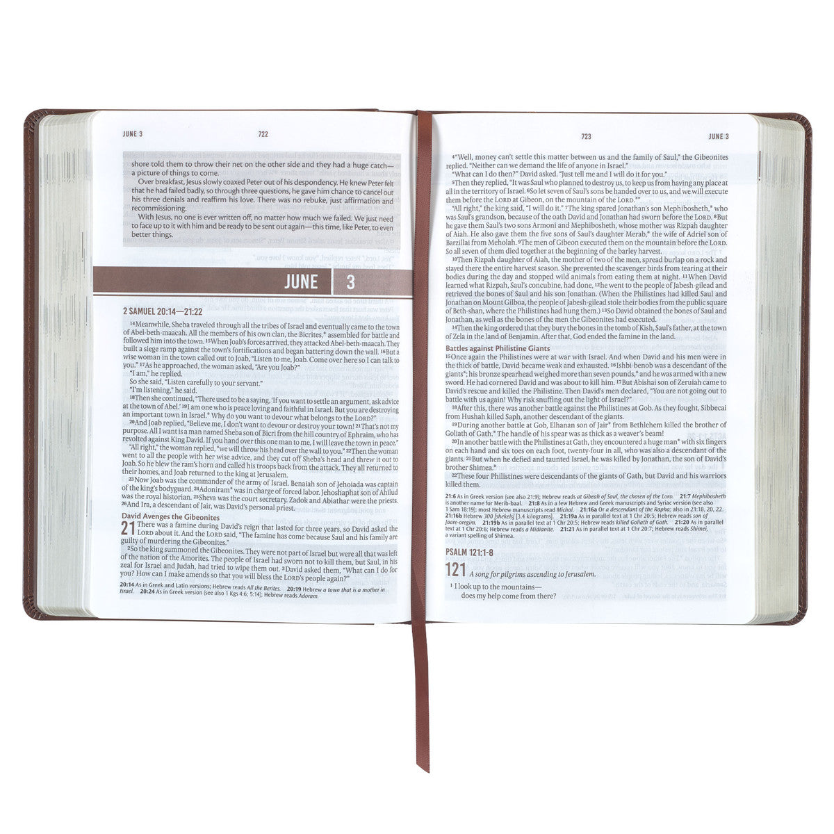 Chestnut Brown Faux Leather NLT Everyday Devotional Bible for Men - The Christian Gift Company