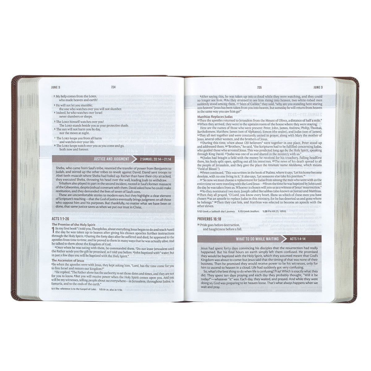 Chestnut Brown Faux Leather NLT Everyday Devotional Bible for Men - The Christian Gift Company