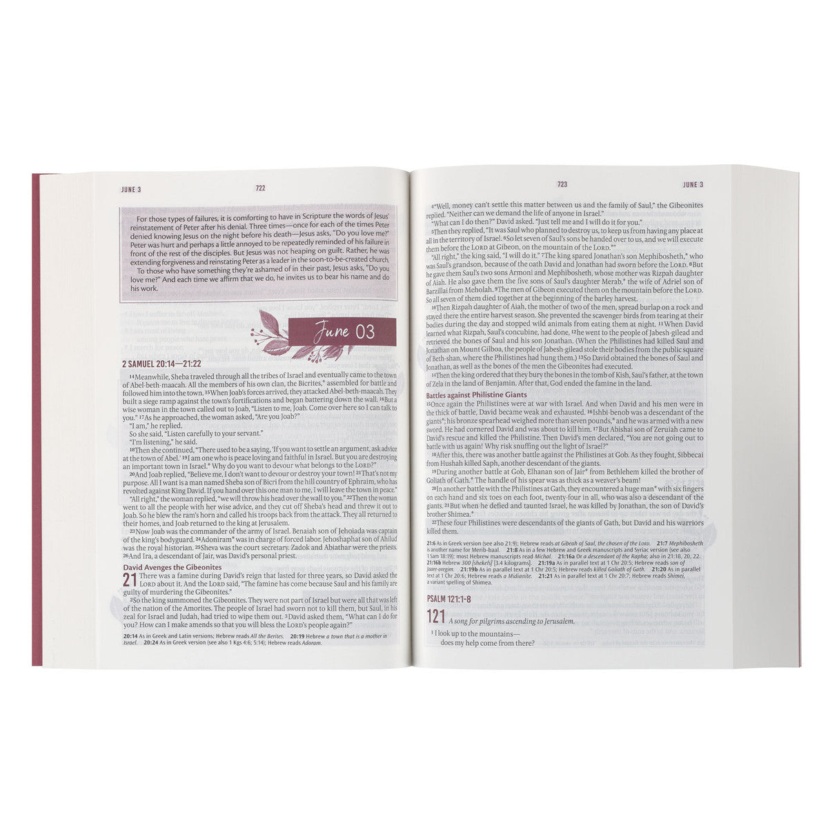 Pink Lily NLT Everyday Devotional Bible for Women - The Christian Gift Company