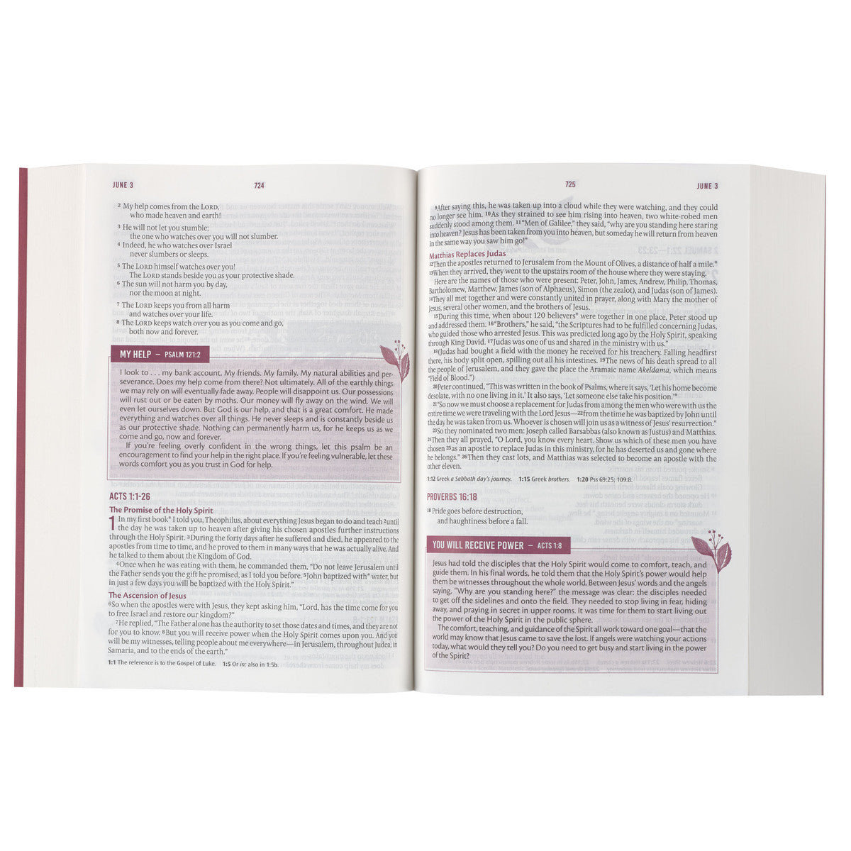 Pink Lily NLT Everyday Devotional Bible for Women - The Christian Gift Company