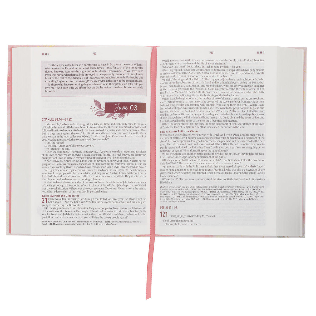 Pink Blossoms Hardcover NLT Everyday Devotional Bible for Women - The Christian Gift Company
