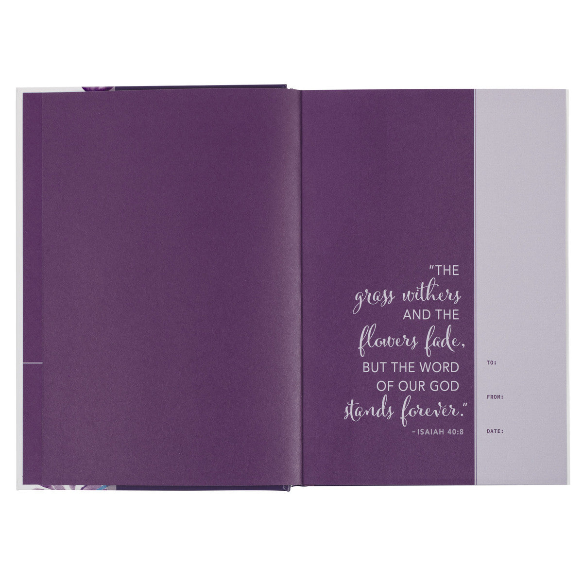 Purple Floral Hardcover NLT Everyday Devotional Bible for Women - The Christian Gift Company