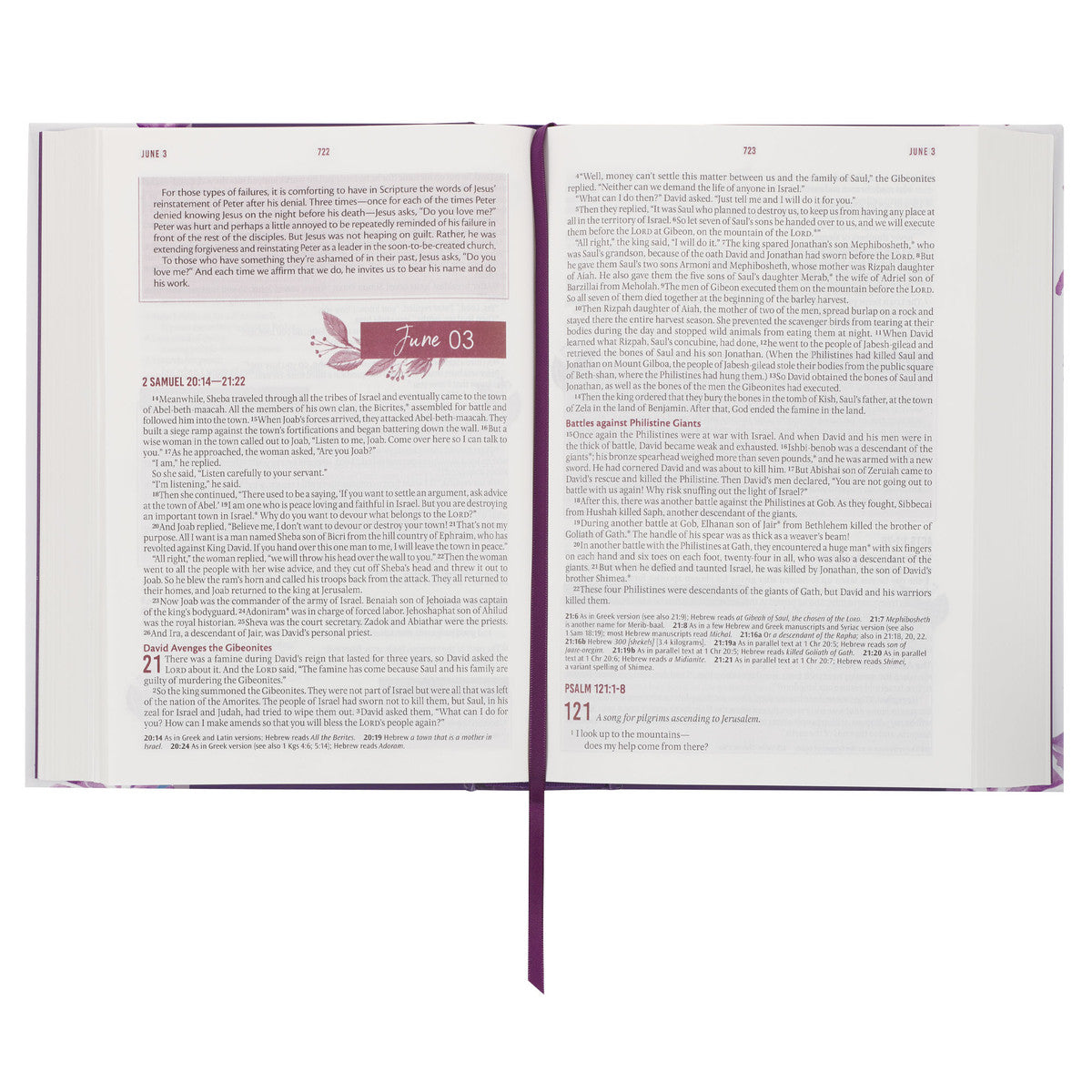 Purple Floral Hardcover NLT Everyday Devotional Bible for Women - The Christian Gift Company