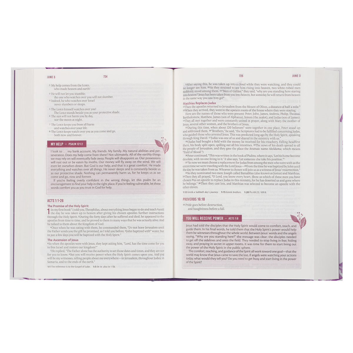 Purple Floral Hardcover NLT Everyday Devotional Bible for Women - The Christian Gift Company