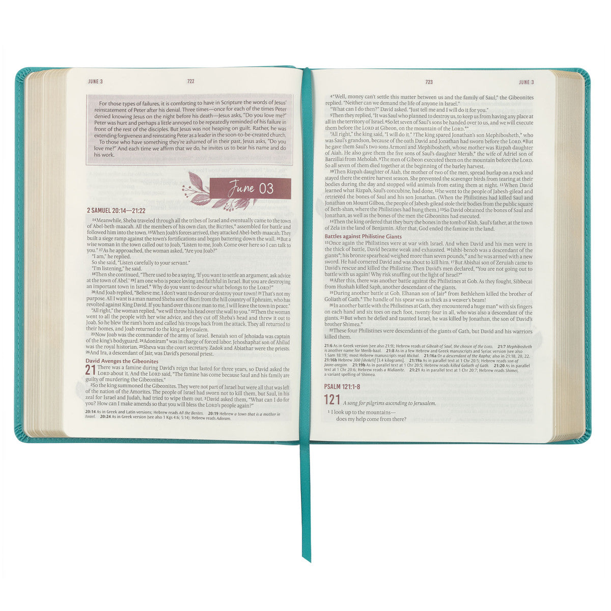 Floral Teal Faux Leather NLT Everyday Devotional Bible for Women - The Christian Gift Company