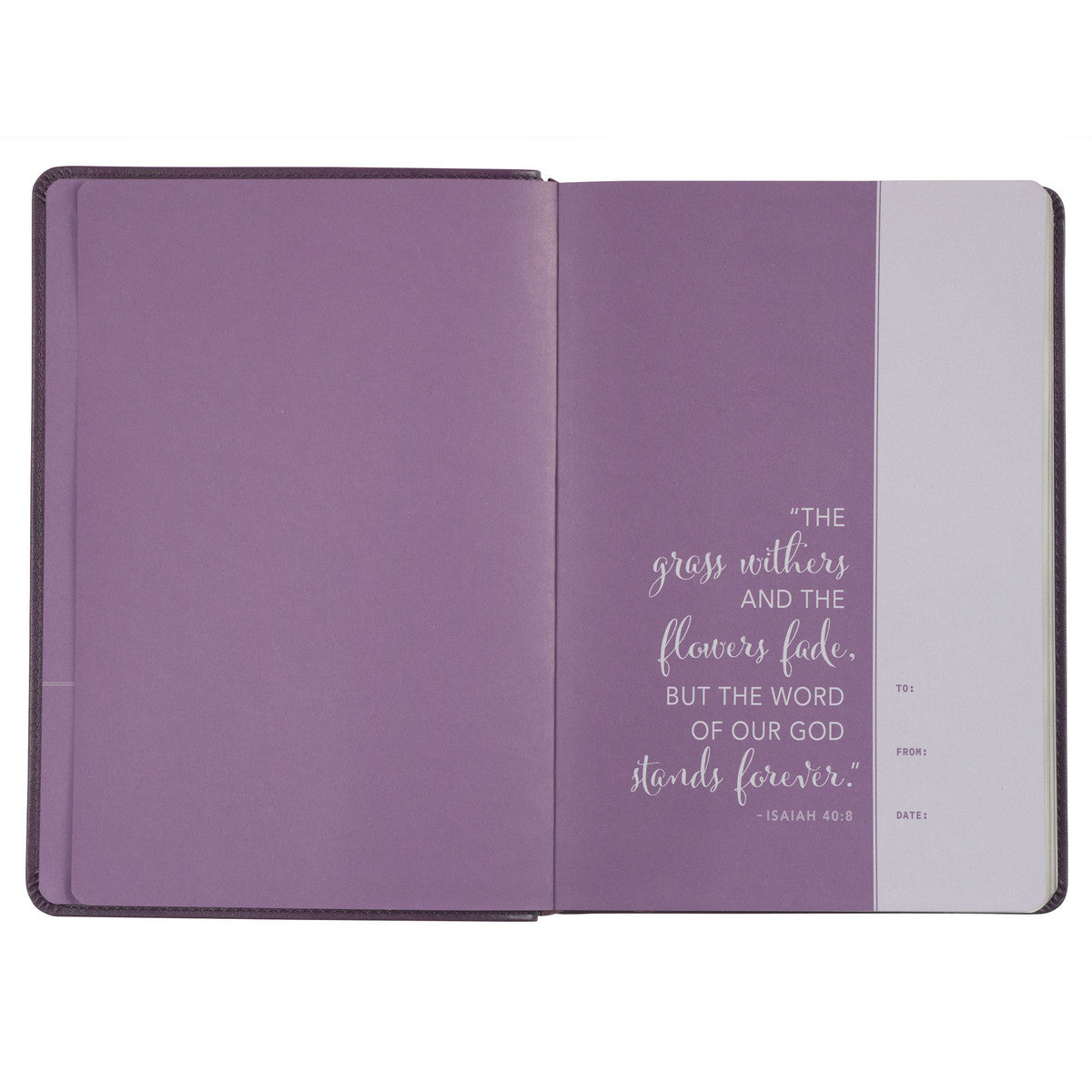 Framed Purple Faux Leather NLT Everyday Devotional Bible for Women - The Christian Gift Company